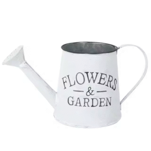 Watering Can Vintage Bucket Galvanized Pot Rustic Decorative Planter Pitcher