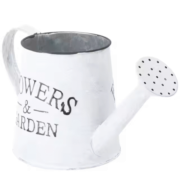 Watering Can Vintage Bucket Galvanized Pot Rustic Decorative Planter Pitcher - Image 2