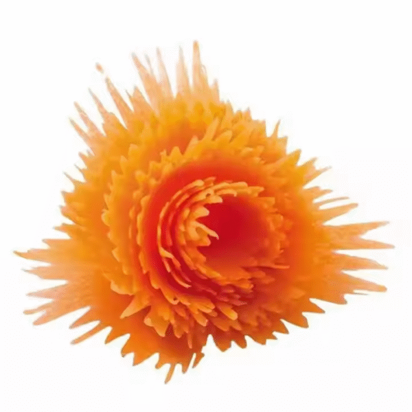 Manual Slicers Wave Spiral Shred Process Gadget - Image 4