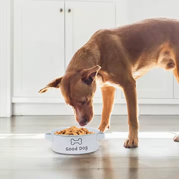 Wholesale Dog Bowl/pet Bowl /cat Bowl with Stainless Steel Pet Food Drinking Bowl Dish - Image 5
