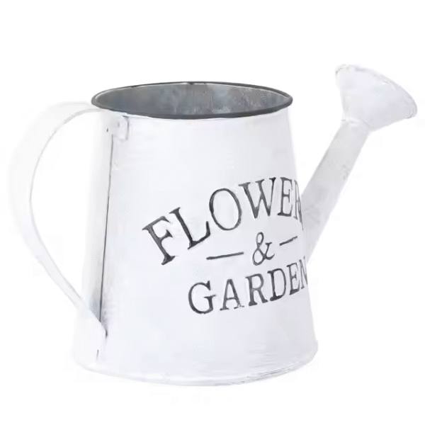 Watering Can Vintage Bucket Galvanized Pot Rustic Decorative Planter Pitcher - Image 5