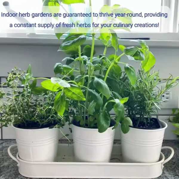 Herb Garden Planter Indoor Kit with Tray Flower Pots - Image 5