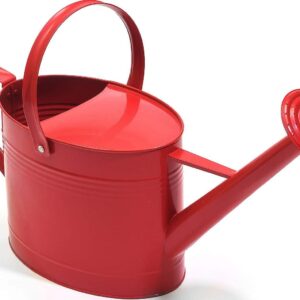 Galvanized Metal Watering Can/Flower Watering Can