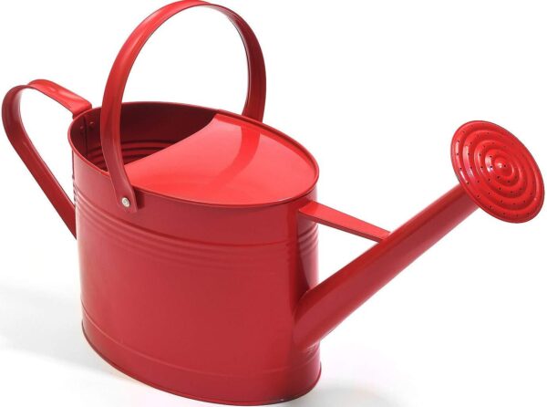 Galvanized Metal Watering Can/Flower Watering Can